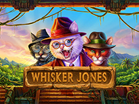 Whisker Jones
